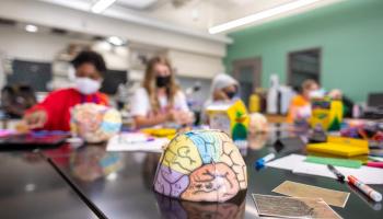 Campers put the finishing touches on their "brain caps" identifying the main parts of the human brain and their functions.