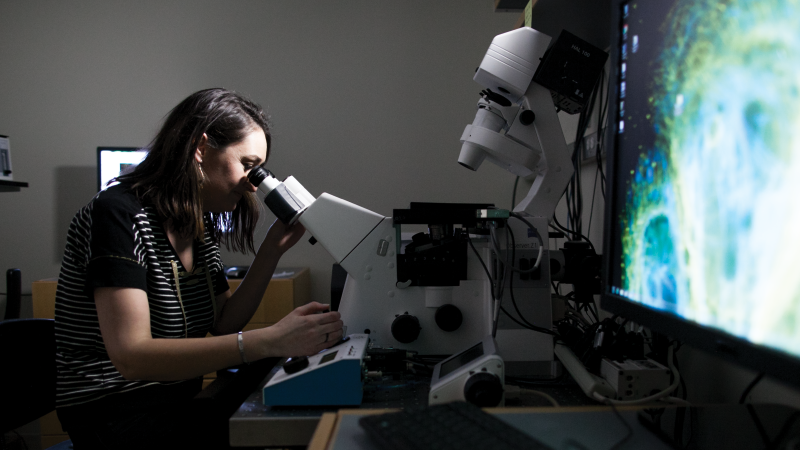 Undergraduate Neuroscience program student in the lab